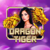 Dragon Tiger bouncing ball game