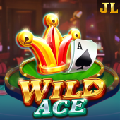 Wild Ace bouncing ball game